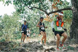 BIB: 
                            <button type="button" onclick="openModal(26083450)" class="btn btn-primary btn-sm float-right btn-popup" data-toggle="modal" data-target=".modal-high-quality">
                        <i class="fas fa-shopping-cart"></i> Add to Cart
                    </button>
                                            <button type="button" onclick="isThisMe(26083450, true)" class="btn btn-success btn-sm float-right btn-popup btn-isme hidden" data-toggle="tooltip" data-placement="bottom" title="นี่คือรูปของคุณใช่ไหม คลิกที่นี่เพื่อเอาเข้าอัลบั้ม">
                        <i class="fas fa-plus"></i> Add to album
                    </button>
                    <button type="button" onclick="isThisMe(26083450, false)" class="btn btn-warning btn-sm float-right btn-popup btn-isnotme hidden">
                        <i class="fas fa-ban"></i> Remove from album
                    </button>